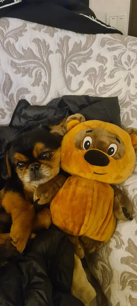 Юхневич Віталій