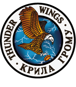 Thunder Wings